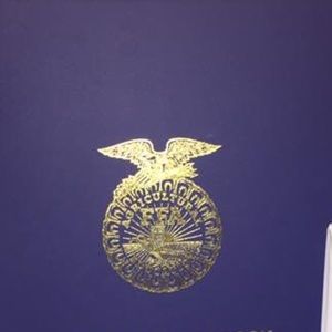 Meet your Posher, Chloe